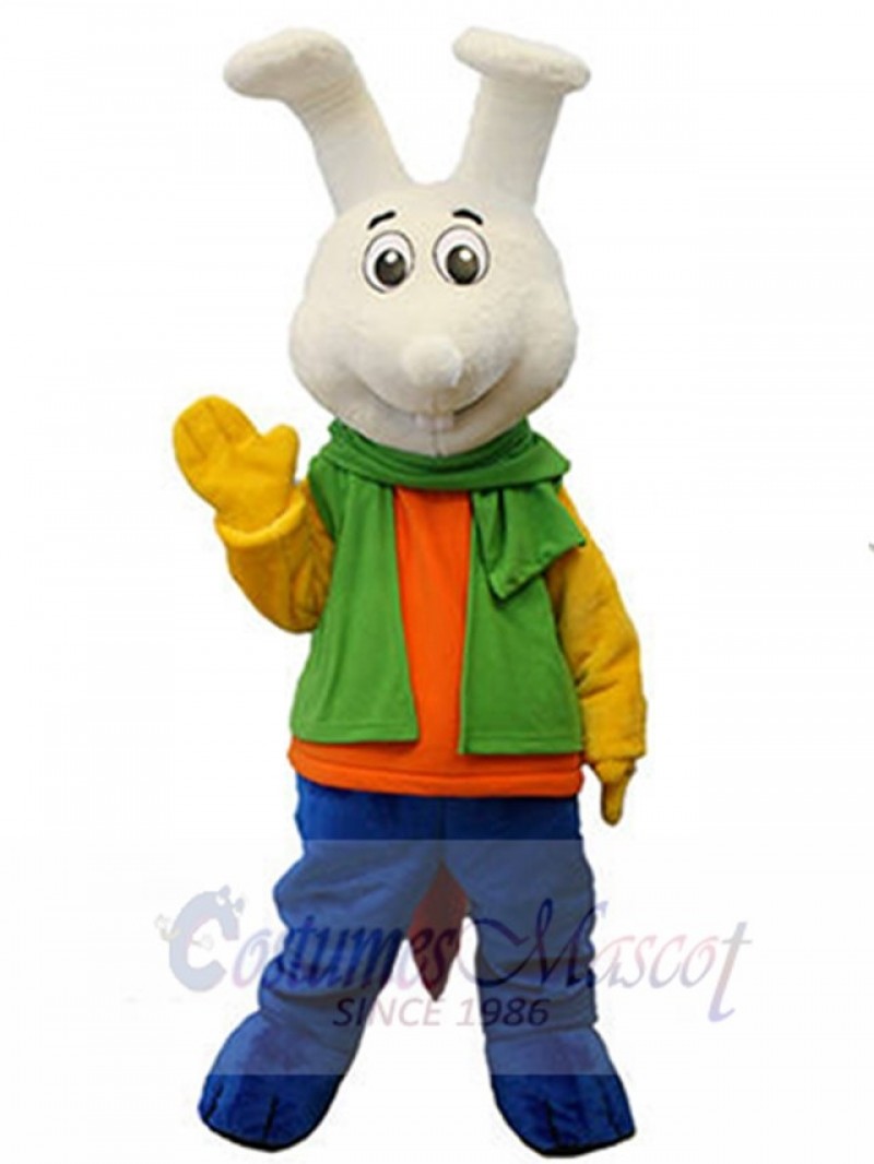 Bunny Rabbit mascot costume