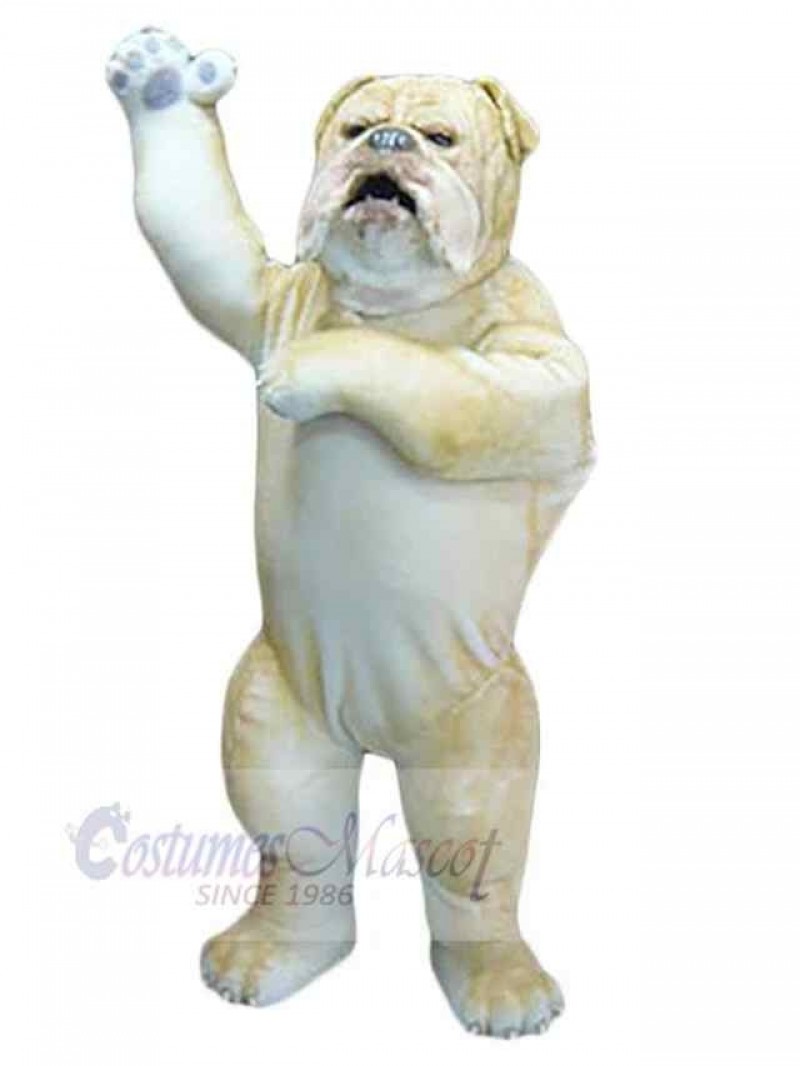 Dog mascot costume