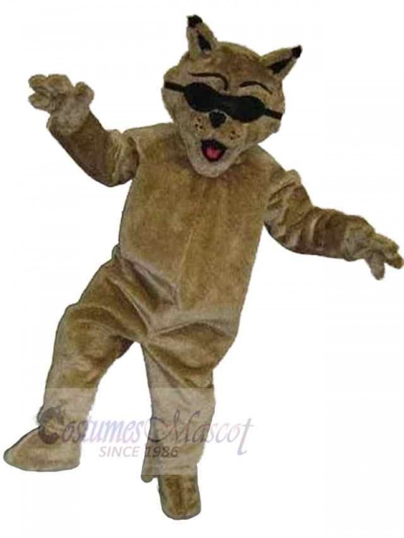 Cat mascot costume