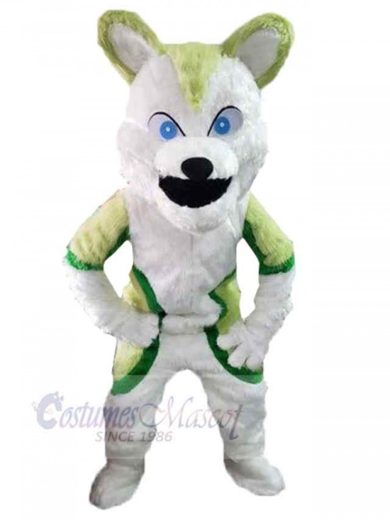 Wolf mascot costume