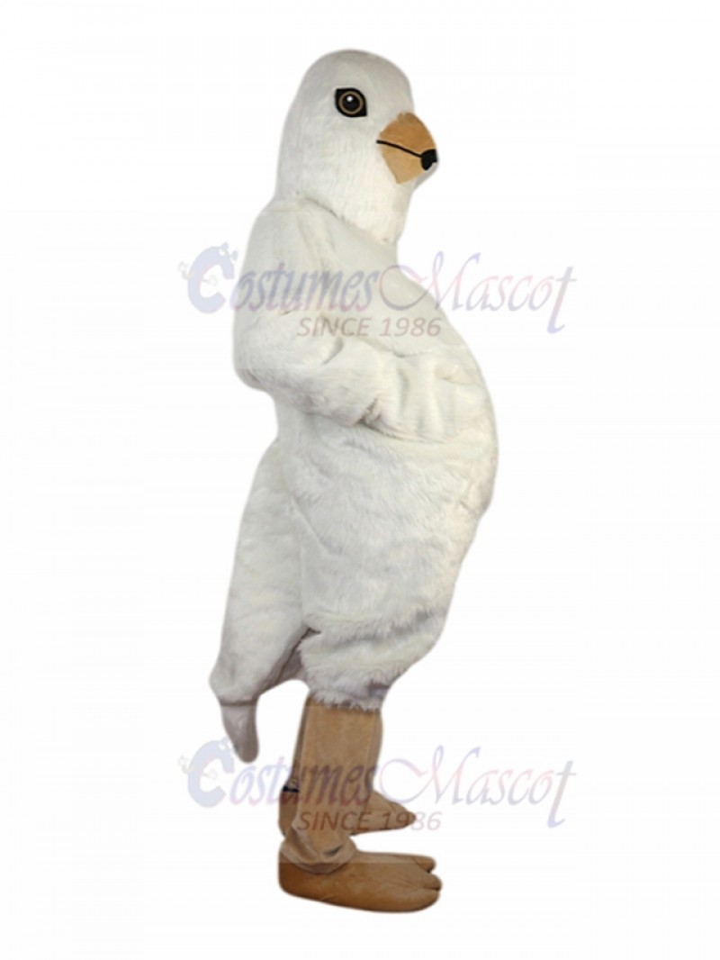 Pigeon mascot costume