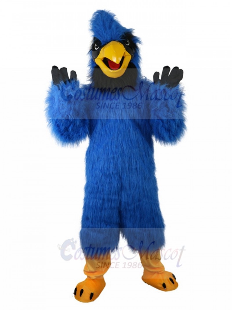 Eagle mascot costume