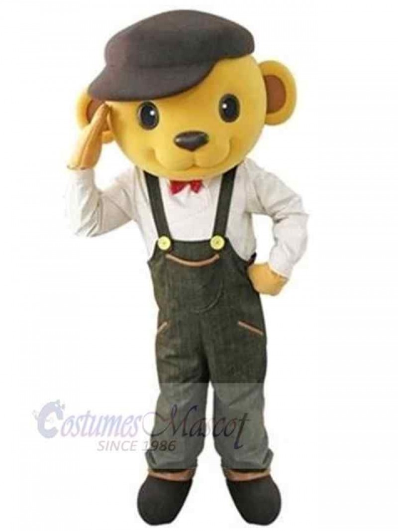 Bear mascot costume