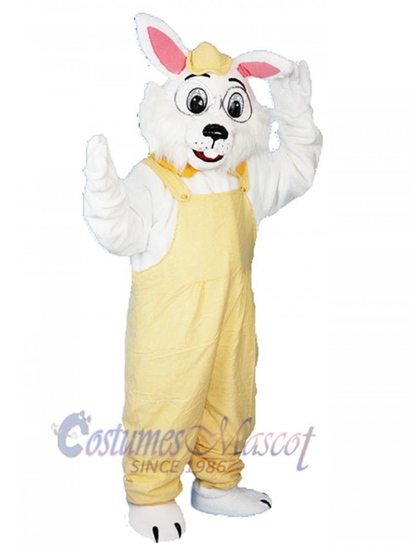 Bunny mascot costume