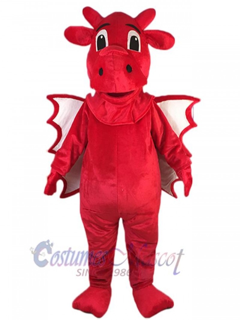 Dragon mascot costume