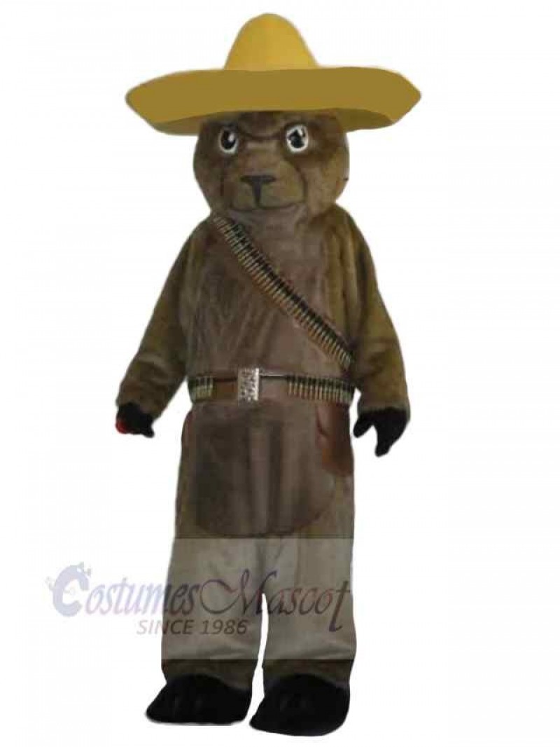 Bear mascot costume