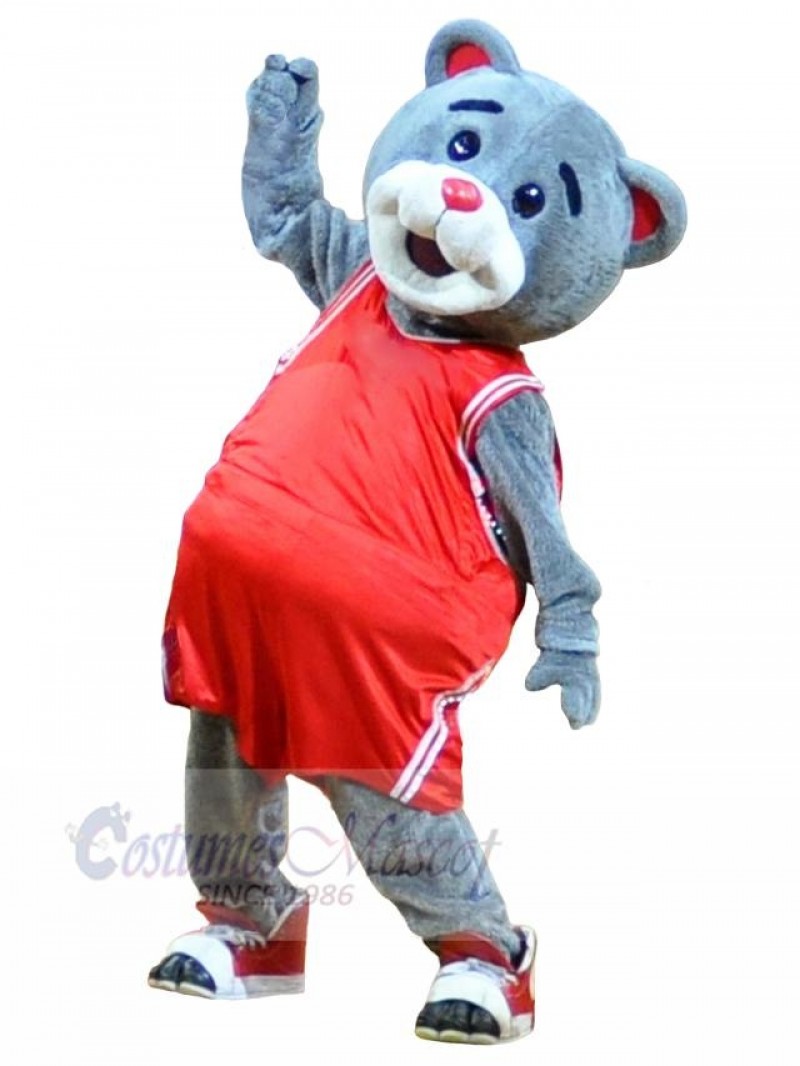 Bear mascot costume