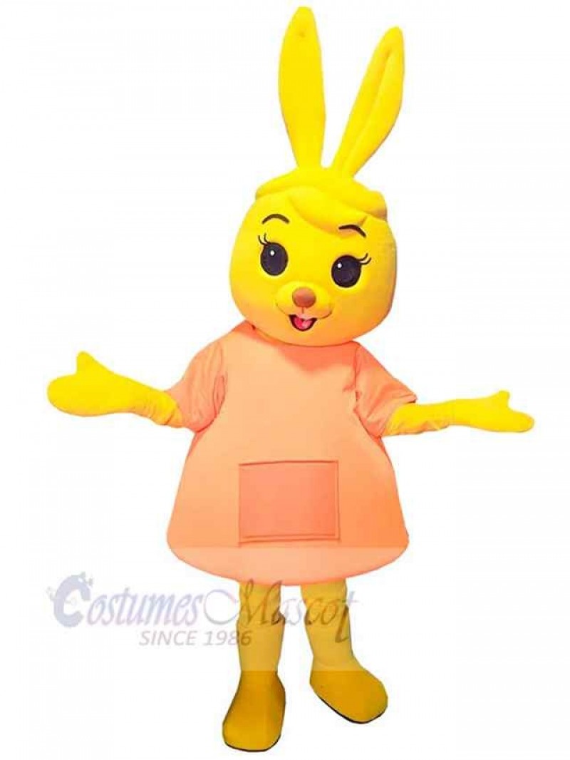 Rabbit mascot costume