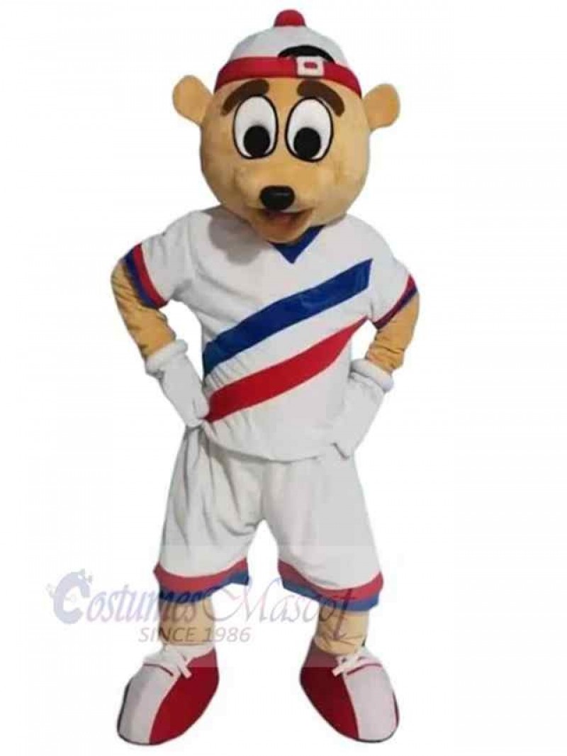 Bear mascot costume