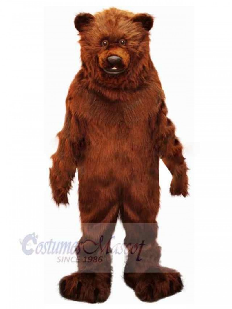 Bear mascot costume