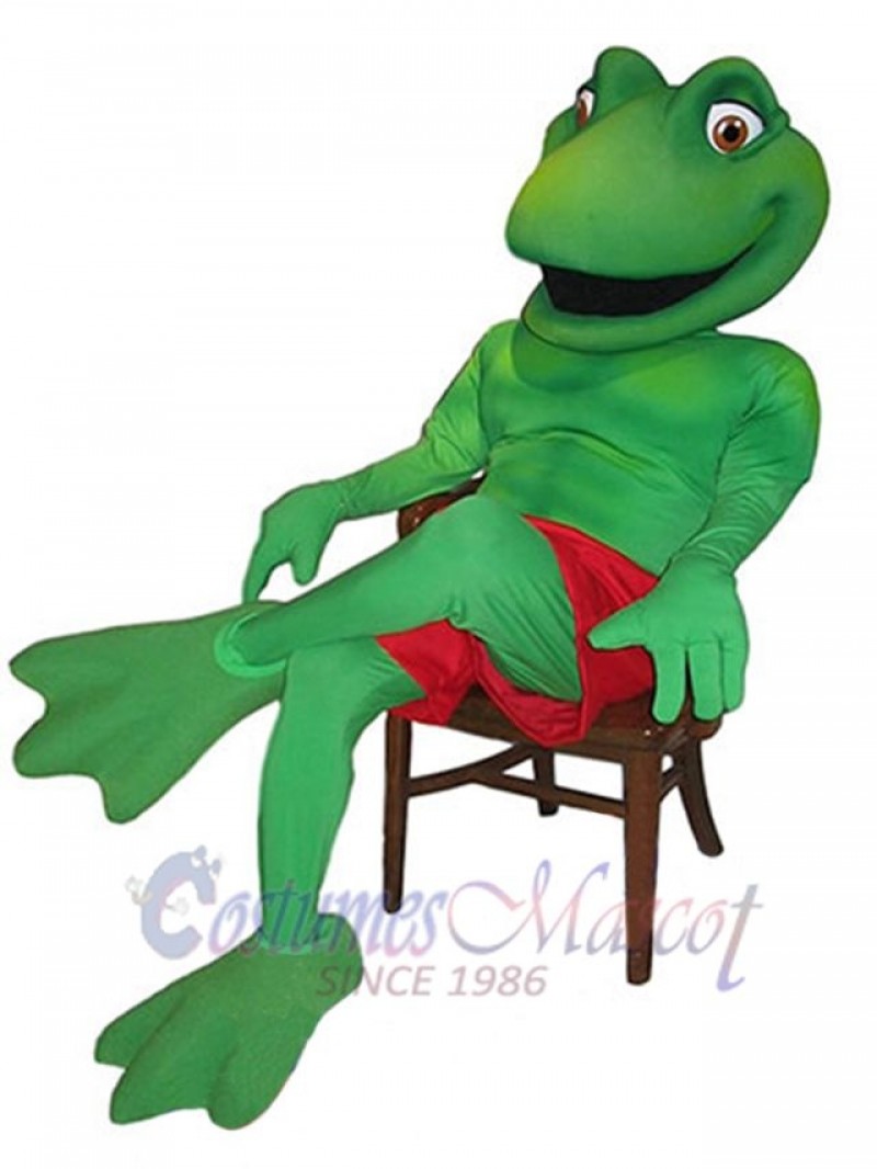 Frog mascot costume