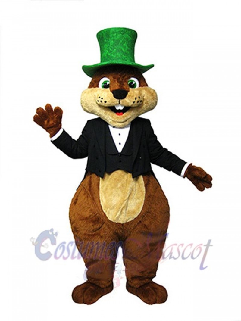 Squirrel mascot costume