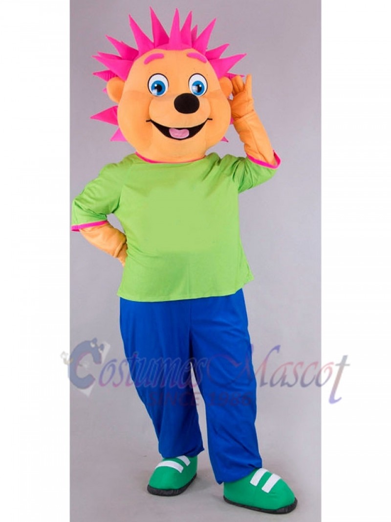 Hedgehog mascot costume