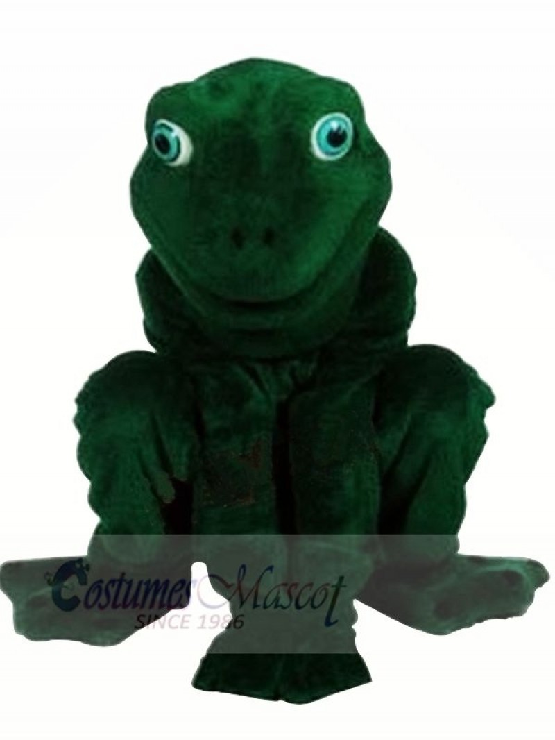 High Quality Realistic Frog Mascot Costumes