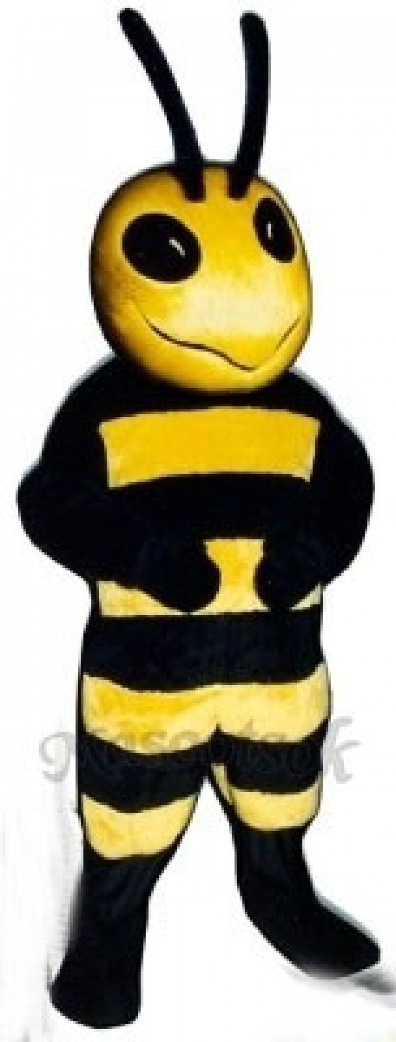 Drone Bee Mascot Costume