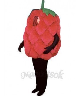 Fresh Raspberry Mascot Costume
