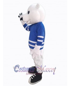 Bear mascot costume