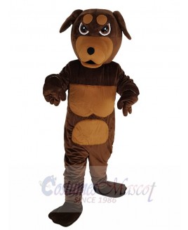 Rottweiler Dog mascot costume