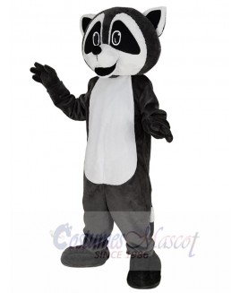 Raccoon mascot costume