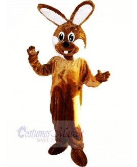 Brown and White Rabbit Mascot Costumes Animal