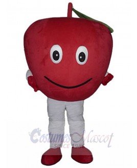 Apple Fruit mascot costume