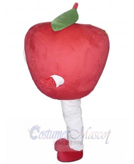 Apple Fruit mascot costume