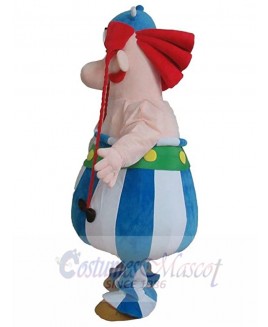 Asterix Obelix mascot costume