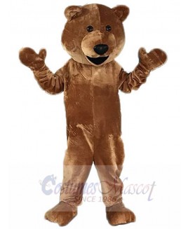 Bear mascot costume