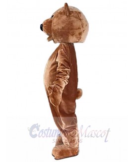 Bear mascot costume