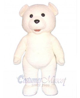 Teddy Bear mascot costume