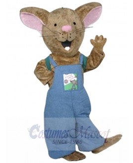 Mouse mascot costume