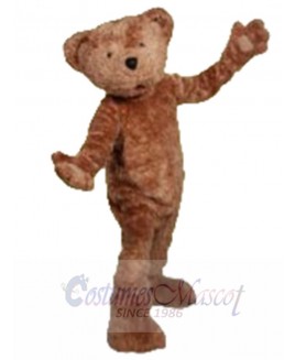 Ted E Bear mascot costume