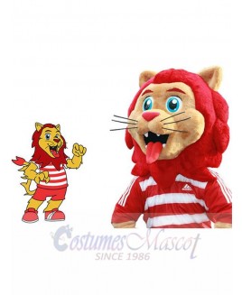 Lion mascot costume