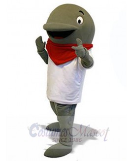 Dolphin mascot costume