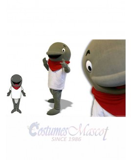 Dolphin mascot costume