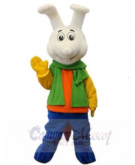 Bunny Rabbit mascot costume