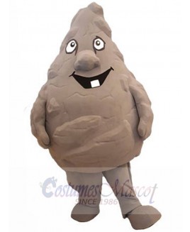 Rock Stone mascot costume