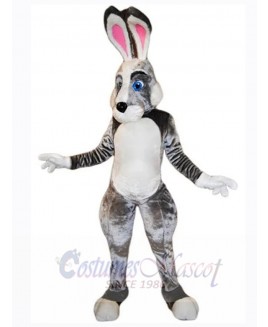 Easter Bunny Rabbit mascot costume