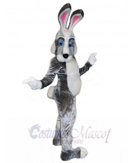 Easter Bunny Rabbit mascot costume