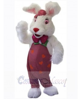 Easter Bunny Rabbit mascot costume