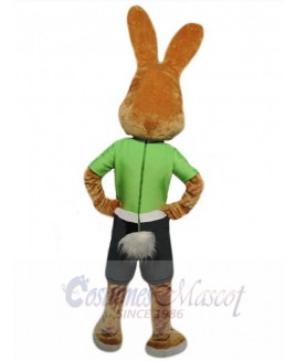 Easter Bunny Rabbit mascot costume