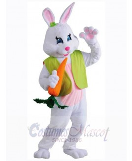 Easter Bunny Rabbit mascot costume