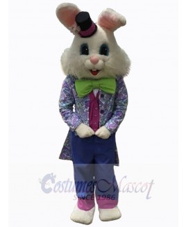 Easter Bunny Rabbit mascot costume