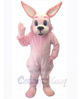 Easter Bunny Rabbit mascot costume