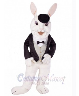 Easter Bunny Rabbit mascot costume