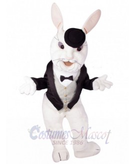 Easter Bunny Rabbit mascot costume