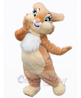 Easter Bunny Rabbit mascot costume