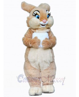 Easter Bunny Rabbit mascot costume