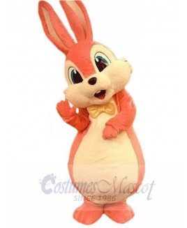 Easter Bunny Rabbit mascot costume