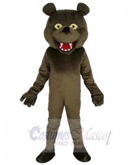 Grizzly Bear mascot costume